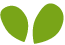 https://kpcspartanburg.com/wp-content/uploads/2022/04/green_leaf.png